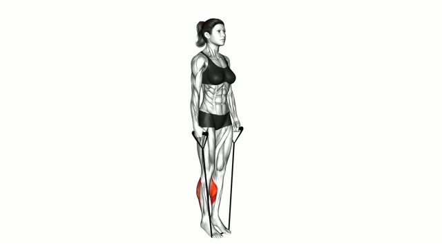 Calves
